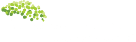 Logo firmy